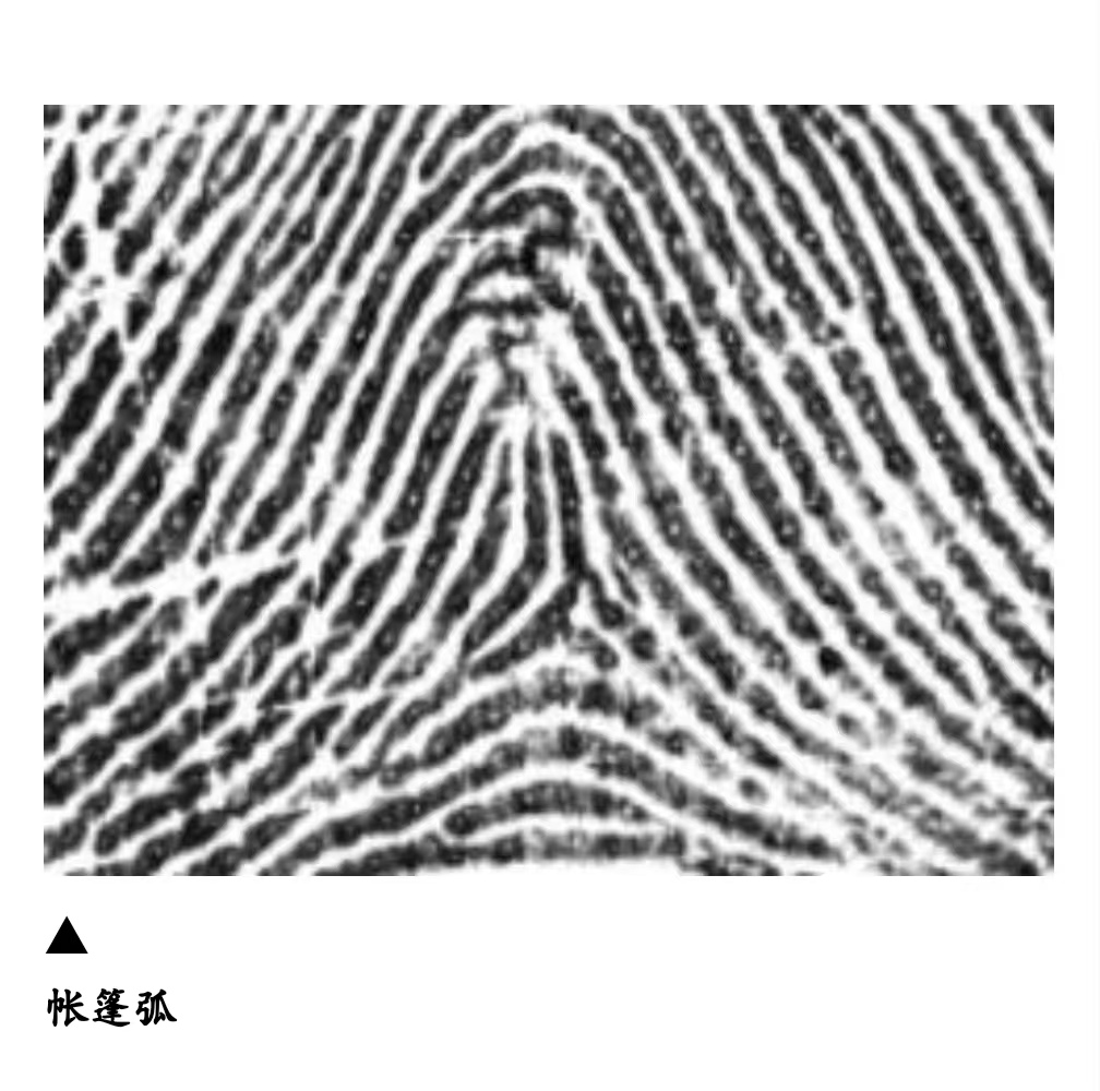 帐篷弧